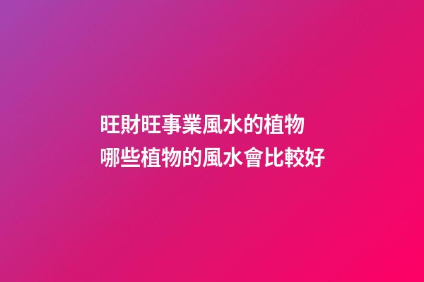 旺財旺事業風水的植物 哪些植物的風水會比較好